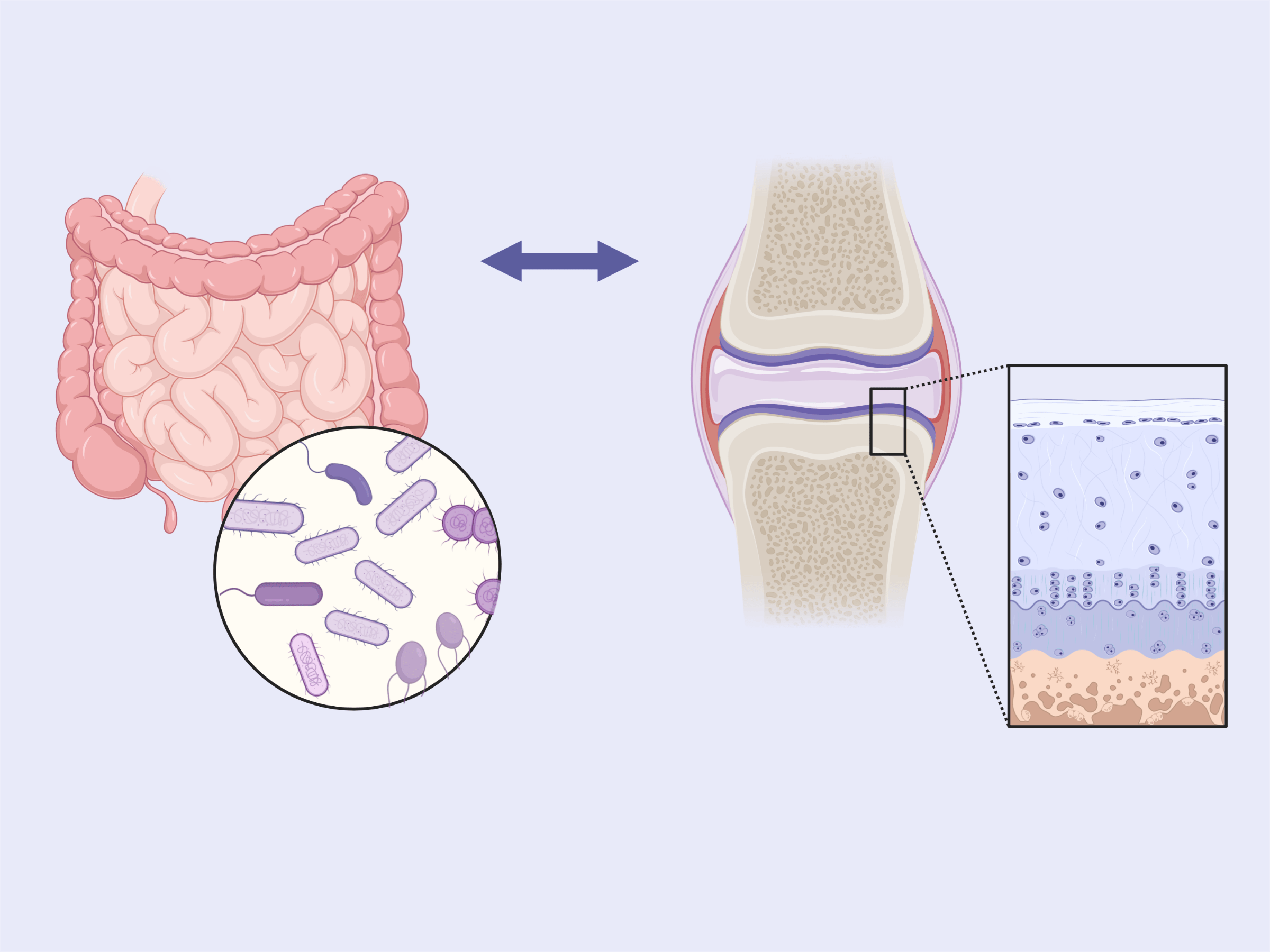 Chan Laboratory Purdue University